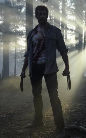 Logan Wallpaper For Mobile Teahub Io