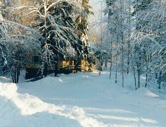 Winter Wallpaper
