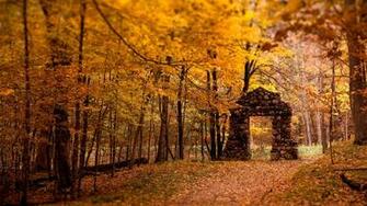 Wallpapertop Wallpaper Nature Autumn Cool