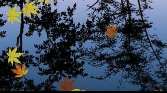 Live Wallpaper For Nokia Lumia Android Me Now