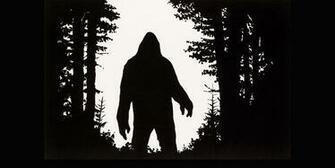 Searching For Bigfoot Is Real