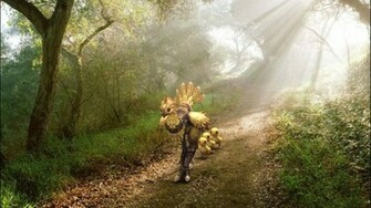 Chocobo Wallpaper High Quality And Resolution