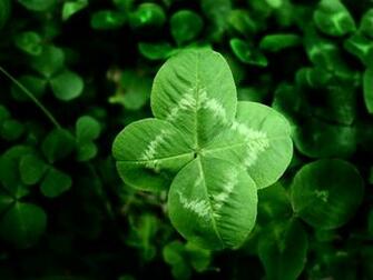 Leaf Clover