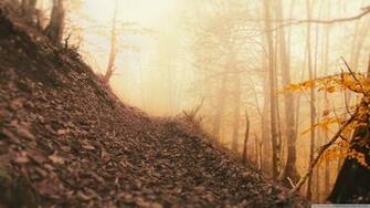 Hazy Way Shashm 4k HD Desktop Wallpaper For