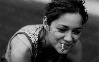 Marion Cotillard Wallpaper