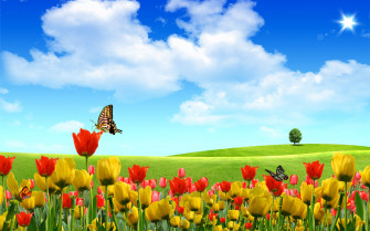 Beautiful Wallpaper For Desktop