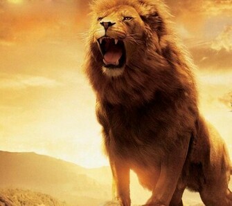 Aslan The Chronicles Of Narnia Flikie Wallpaper