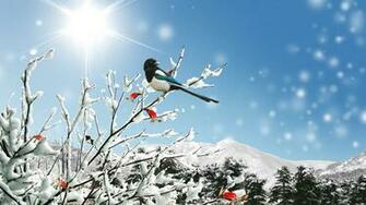 Journ E D Hiver Ensoleill Wallpaper