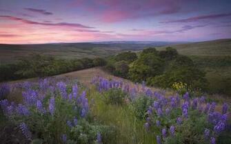 Spring Sunrise Over Columbia Hills Washington U S HD Wallpaper