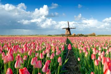 Spring Flower Pictures From Around The World Cond Nast Traveler