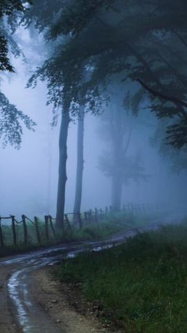 Misty Road iPhone Wallpaper