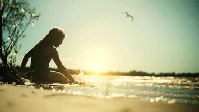 Animated Wallpaper Cinemagraphs Monkeywiththehat