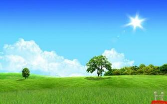 Sun Star Shining On Green Field Wallpaper HD