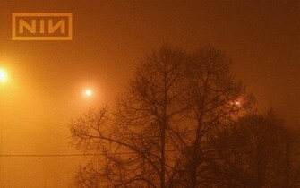 Nin Ghosts Wallpaper Madsun