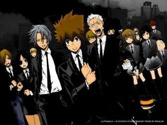 Katekyo Hitman Reborn Anime Series Collection