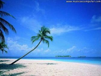 Tropical Beach Wallpaper Desktop