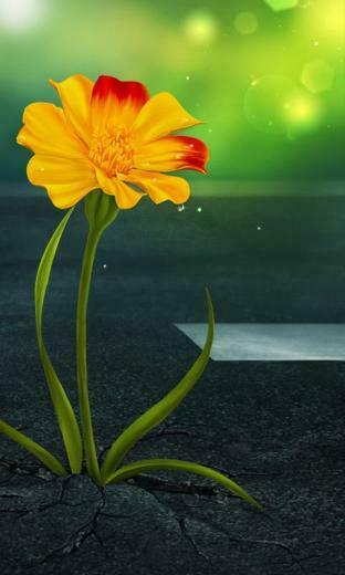 Wallpaper For Nokia Lumia Phones Technology Ging Seo
