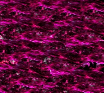 Hot Pink And Purple Background Designs This Backgroun