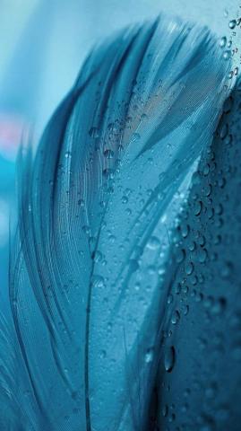 Textures