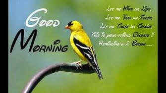 Good Morning Whatsapp Video Clip Pics Msg Wallpaper