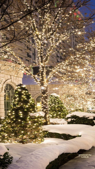 Try To Use Christmas Wallpaper For iPhones