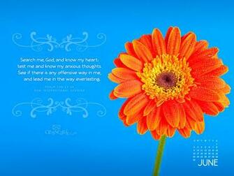 Niv Wallpaper Christian June