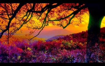 Spring Scenic Wallpaper On