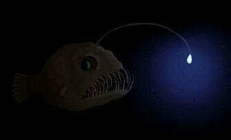 Anglerfish Wallpaper Background