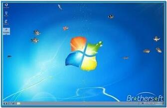 Swimming Fish Background Screensaver