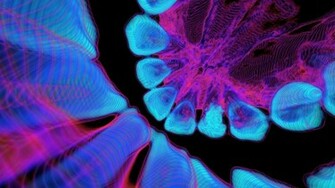 Source Url Smscs Photo Trippy Html