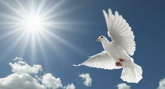 Funeral Rest In Peace Heaven Background HD Wallpaper