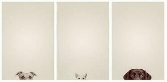 Minimalist Photography Showcase Website Templates Bz