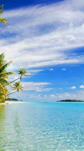 Eye Catching Wallpaper Collection To Enhance Your iPhone5 Screen