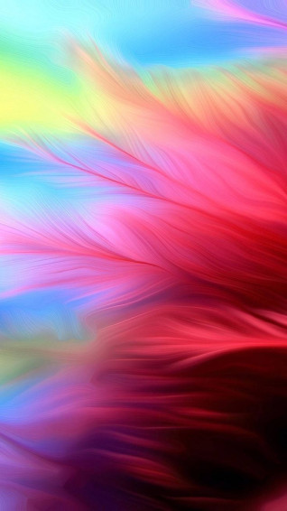 Redmi Red Feathers On Rainbow Pb1h86fd9167myjn Wallpaper