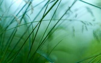 HD Wide Green Desktop Pc And Mac Wallpaper