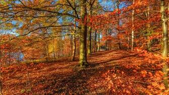 Beautiful Autumn Mac Wallpaper