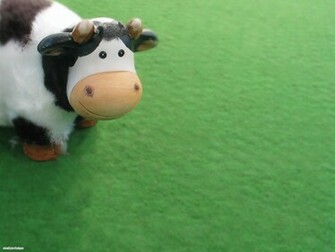 Cute Cow Wallpaper Stock Photos