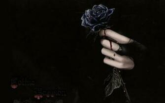 Gothic Black Roses Graphics And Comments