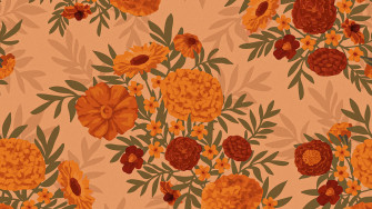 Orange Desktop Wallpaper