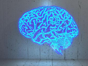 Brain Training Games Don T Boost Iq Here S What Does Vox