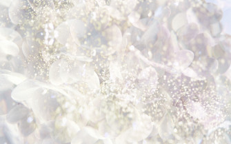 White Desktop Background Wallpaper