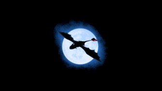 Train Your Dragon Wallpaper HD