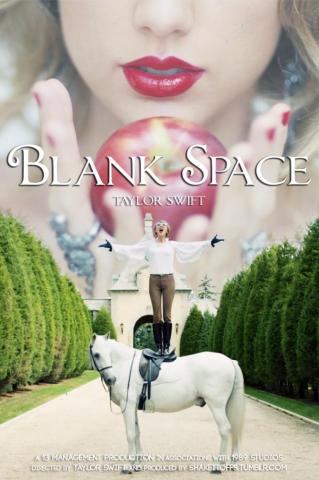 I Could Show You Incredible Things Taylor Swift Songs Blank