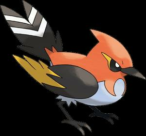 Fletchinder Pok Dex Stats Moves Evolution Locations