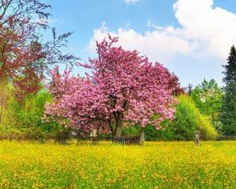 Beautiful Spring Desktop Pc And Mac Wallpaper