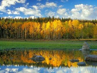 Autumn Scene Wallpaper