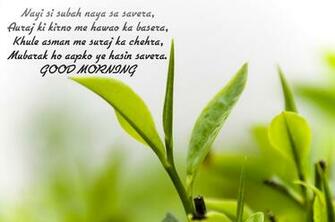 Image Morning Quote Wallpaper Good High