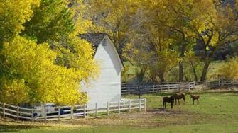 Autumn Country Farm