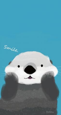 Otter iPhone Background Wallpaper Cute