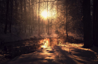 Dark Nature Wallpaper
